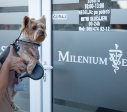 Dezurni veterinar Novi Sad 00-24h